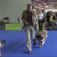 Salzburg Clubschau Mai 06 123 